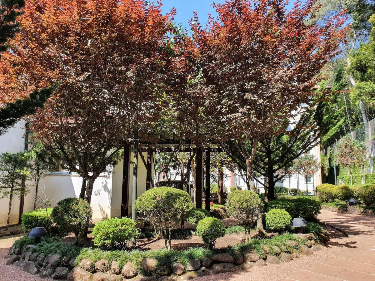 Apto No Centro De Gramado Com Piscina Termica Eksteriør bilde